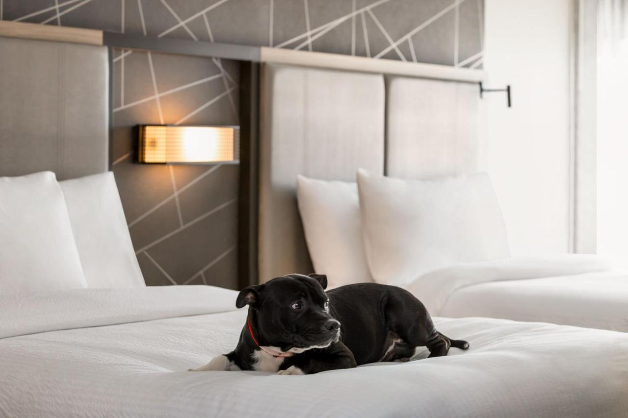 Springhill Suites By Marriott Camp Hill Dış mekan fotoğraf
